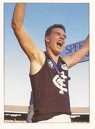 1990 Select AFL Stickers #39 Stephen Silvagni Front